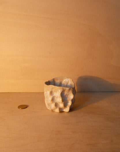 WHITE MOREL CUP 006