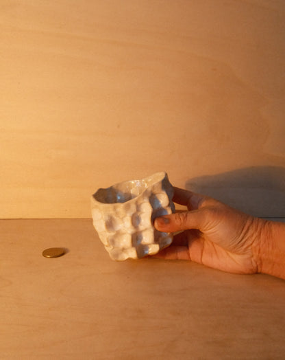 WHITE MOREL CUP 006
