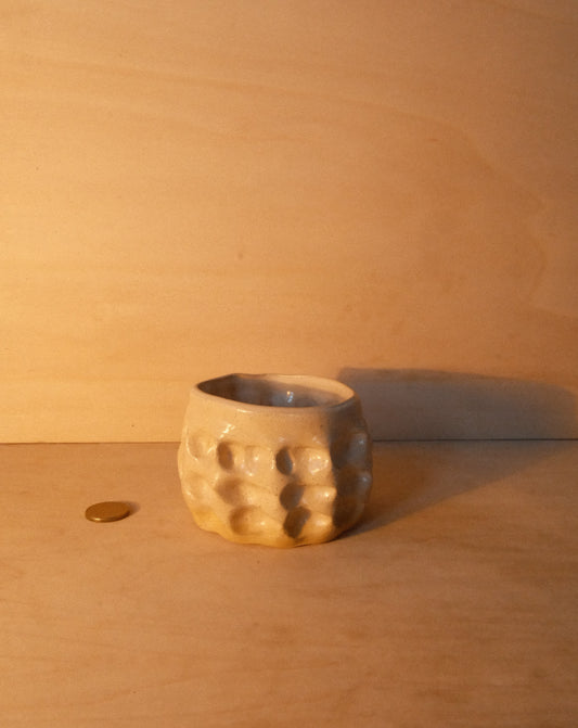 DUSK MOREL CUP 005