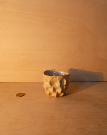 DUSK MOREL CUP 006
