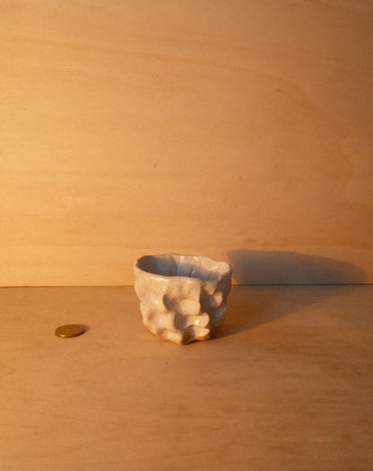 WHITE MOREL CUP 007