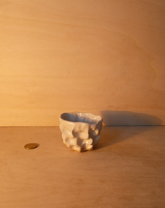 WHITE MOREL CUP 007