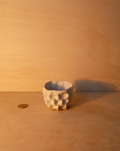 WHITE MOREL CUP 007