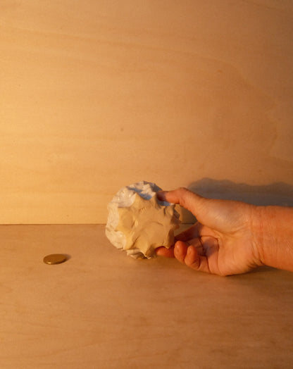 WHITE MOREL CUP 007