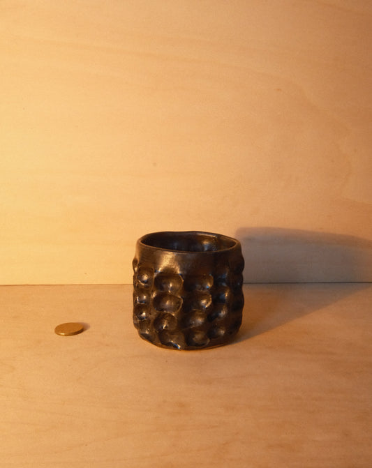 BLACK MOREL CUP 005