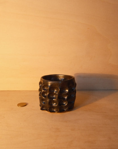 BLACK MOREL CUP 005
