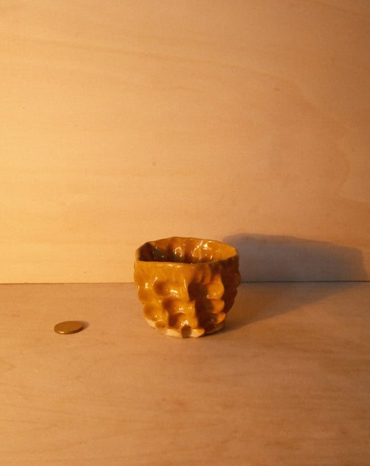HONEY MOREL CUP 003