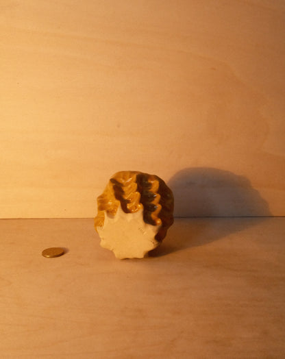 HONEY MOREL CUP 003