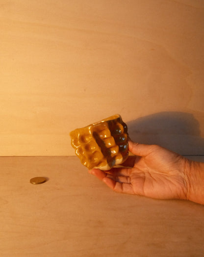 HONEY MOREL CUP 003