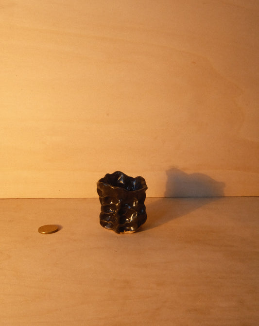 BLACK MOREL CUP 006