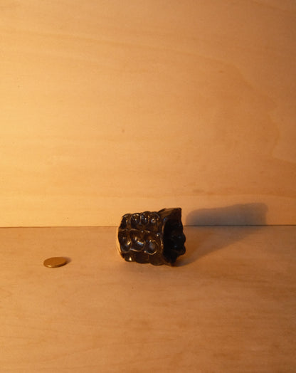BLACK MOREL CUP 006