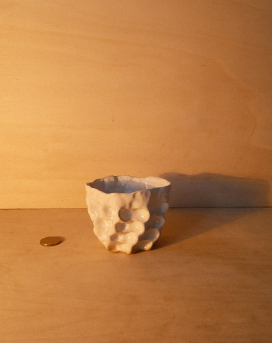 WHITE MOREL CUP 008