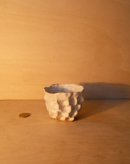 WHITE MOREL CUP 008