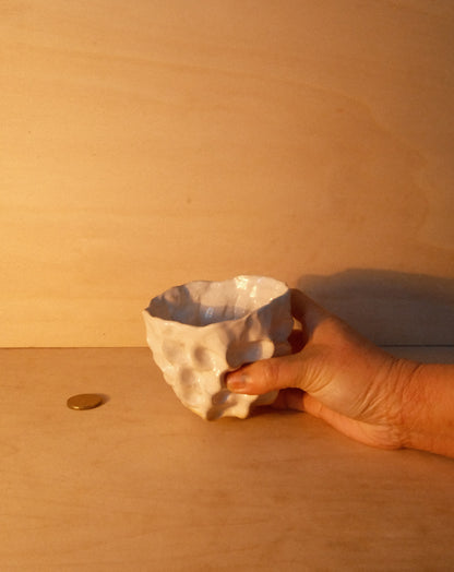 WHITE MOREL CUP 008