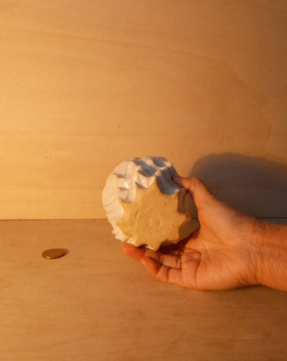 WHITE MOREL CUP 008
