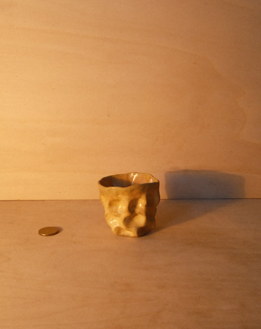 HONEY MOREL CUP 004