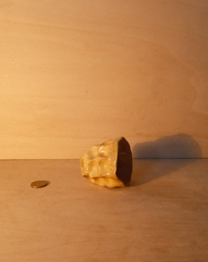 HONEY MOREL CUP 004