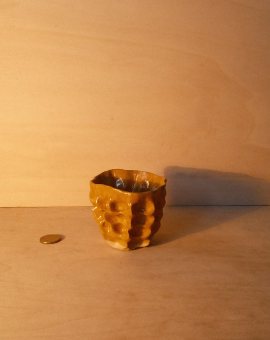 HONEY MOREL CUP 005