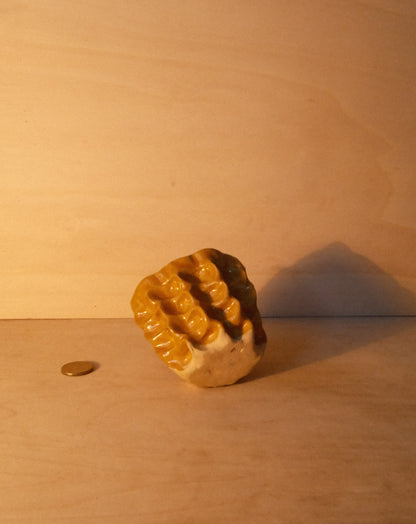 HONEY MOREL CUP 005