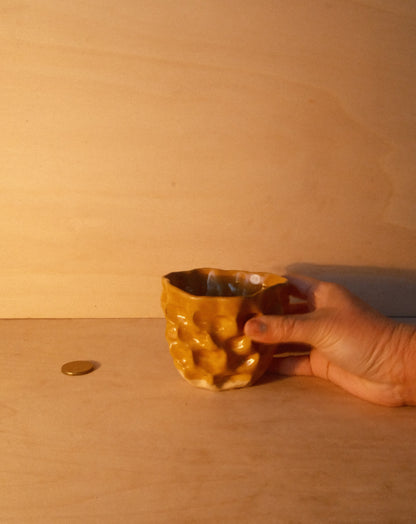HONEY MOREL CUP 005