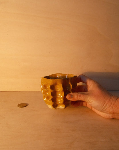 HONEY MOREL CUP 005