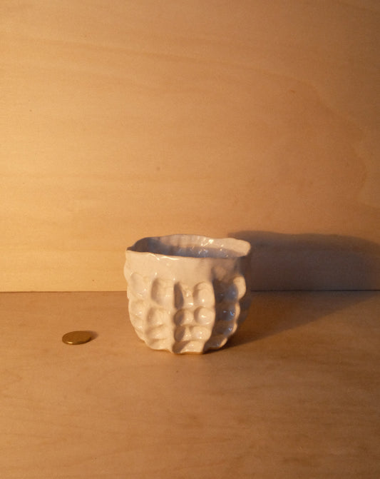 WHITE MOREL CUP 009
