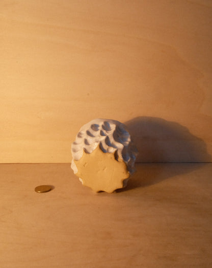 WHITE MOREL CUP 009