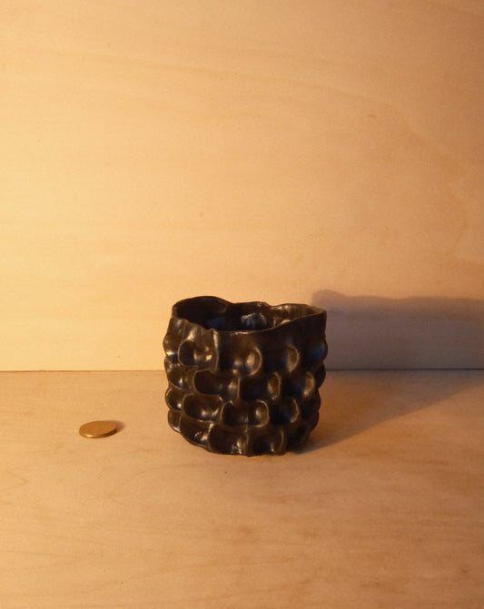 BLACK MOREL CUP 007