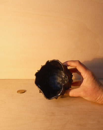 BLACK MOREL CUP 007