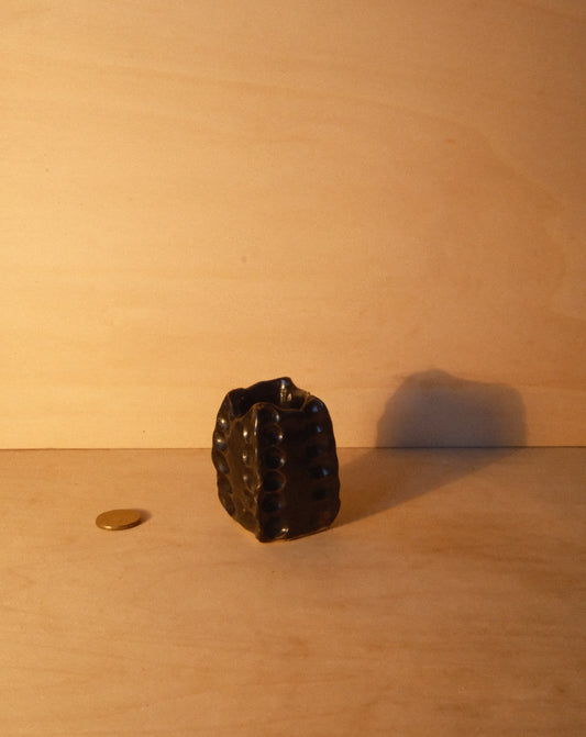 BLACK MOREL VASE 005