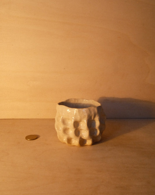 DUSK MOREL CUP 007