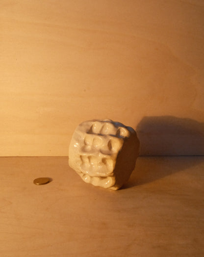 DUSK MOREL CUP 007