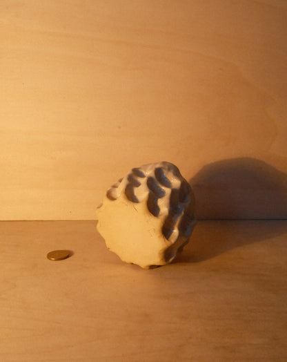 DUSK MOREL CUP 007