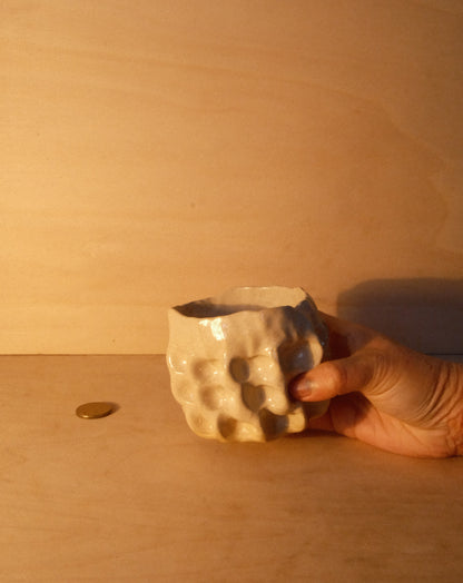 DUSK MOREL CUP 007