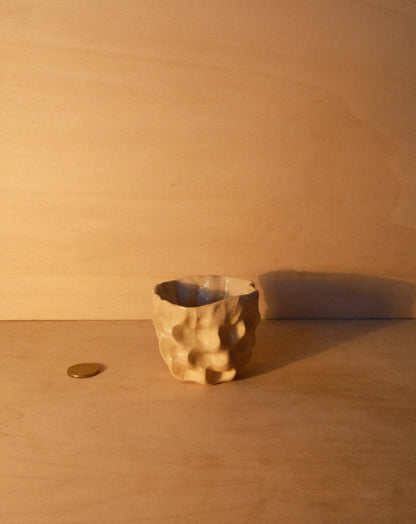 DUSK MOREL CUP 008