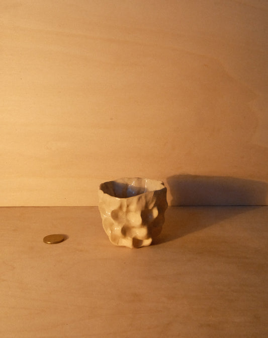 DUSK MOREL CUP 008