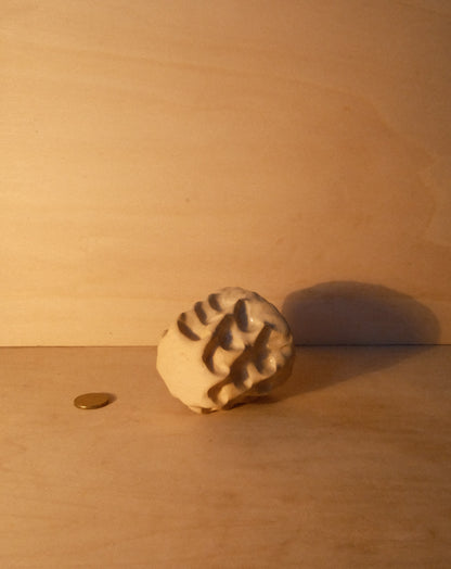 DUSK MOREL CUP 008