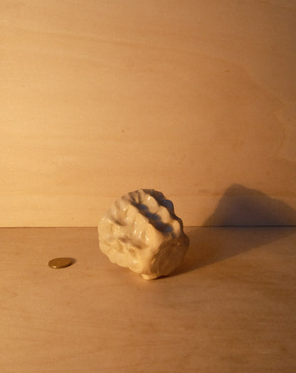 DUSK MOREL CUP 008