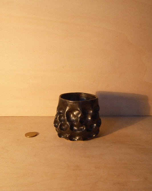 BLACK MOREL CUP 008