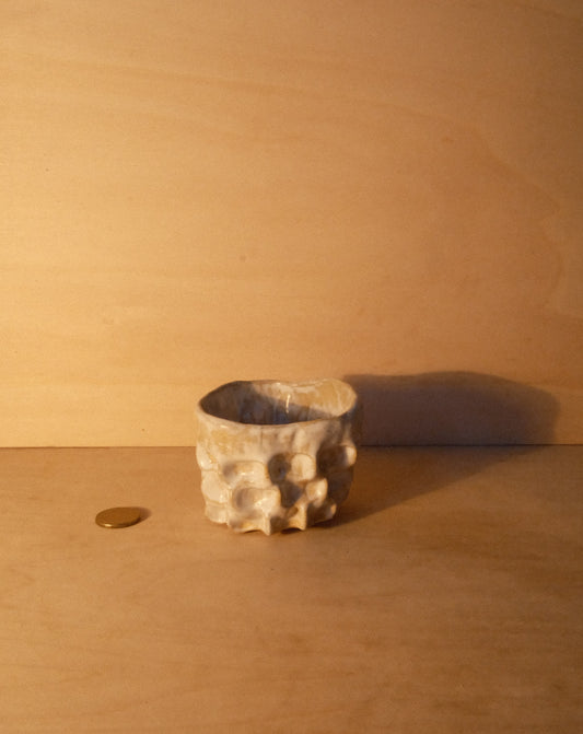 WHITE MOREL CUP 010