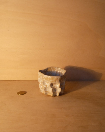 WHITE MOREL CUP 010