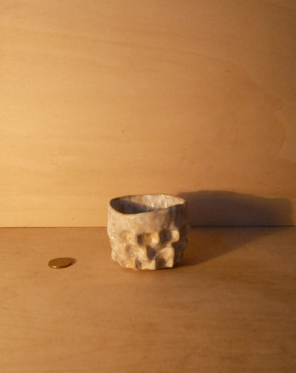 WHITE MOREL CUP 010