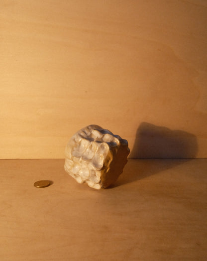 WHITE MOREL CUP 010