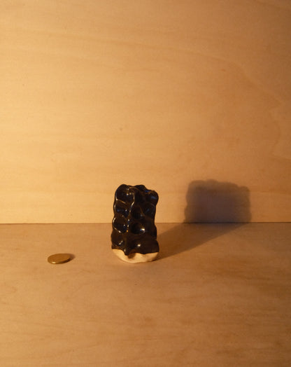 BLACK MOREL VASE 006