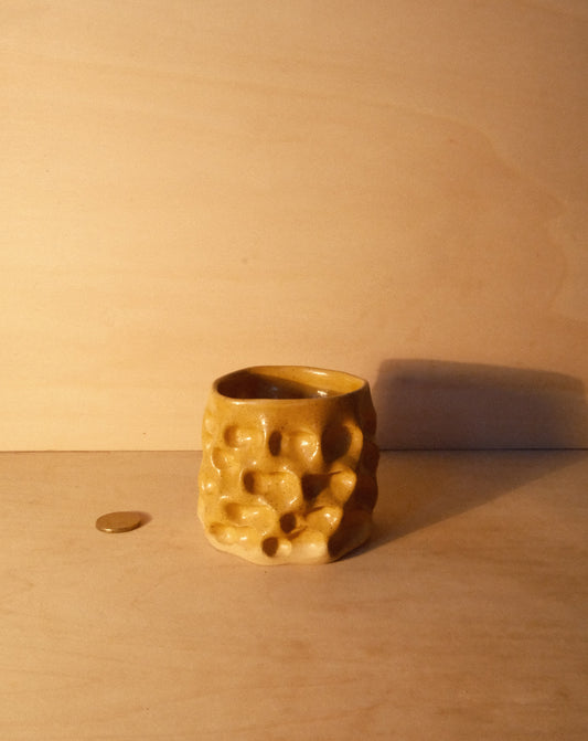 HONEY MOREL CUP 006