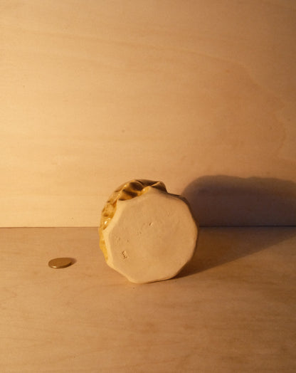 HONEY MOREL CUP 006