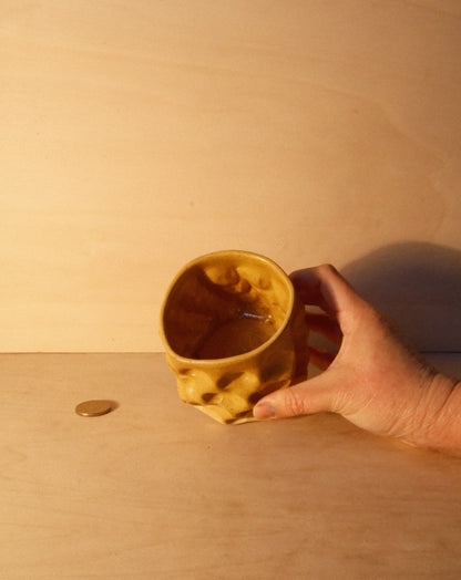 HONEY MOREL CUP 006