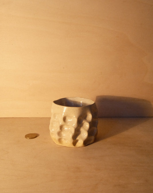 DUSK MOREL CUP 009