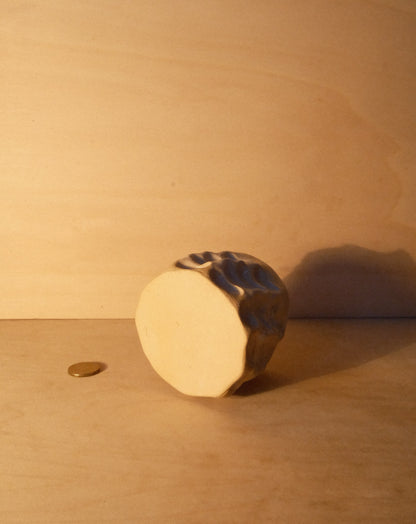 DUSK MOREL CUP 009