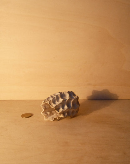 WHITE MOREL VASE 003